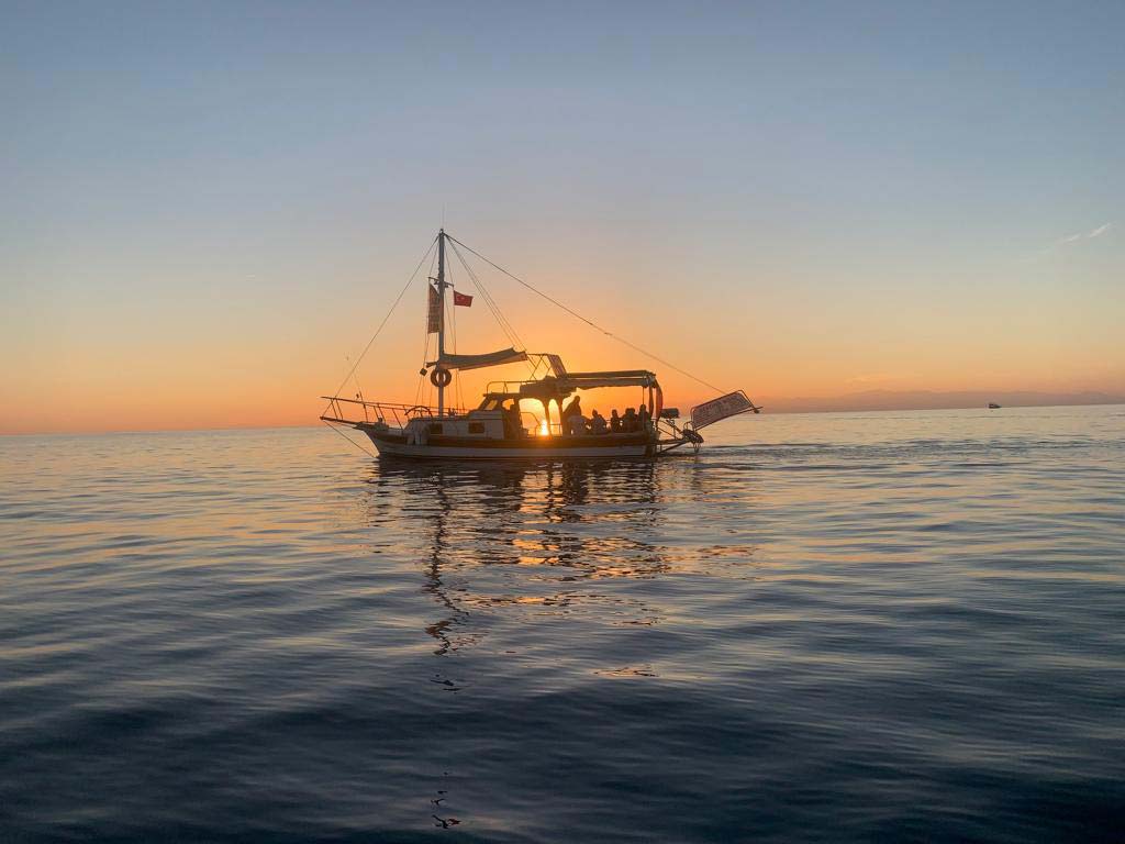 The Ultimate Guide to a Side Private Boat Tour